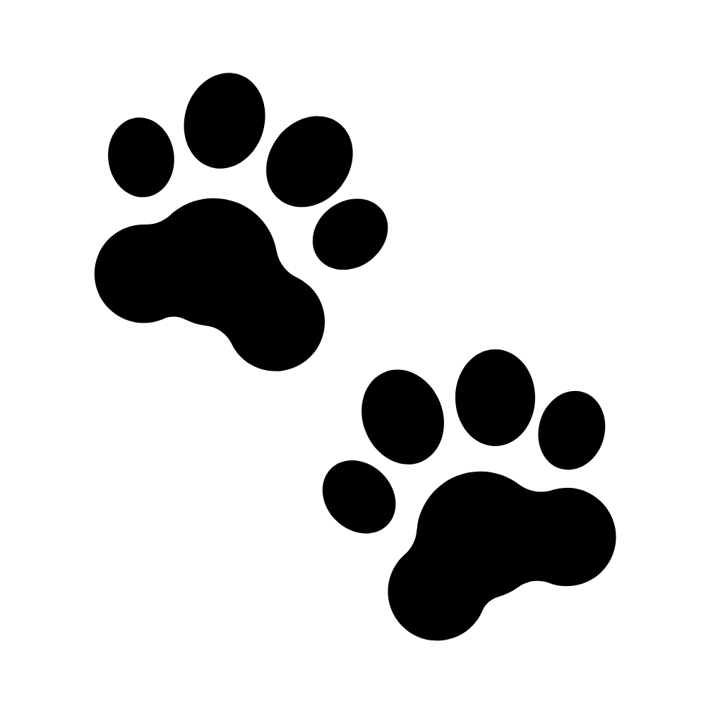 The Cat Prints gift card!